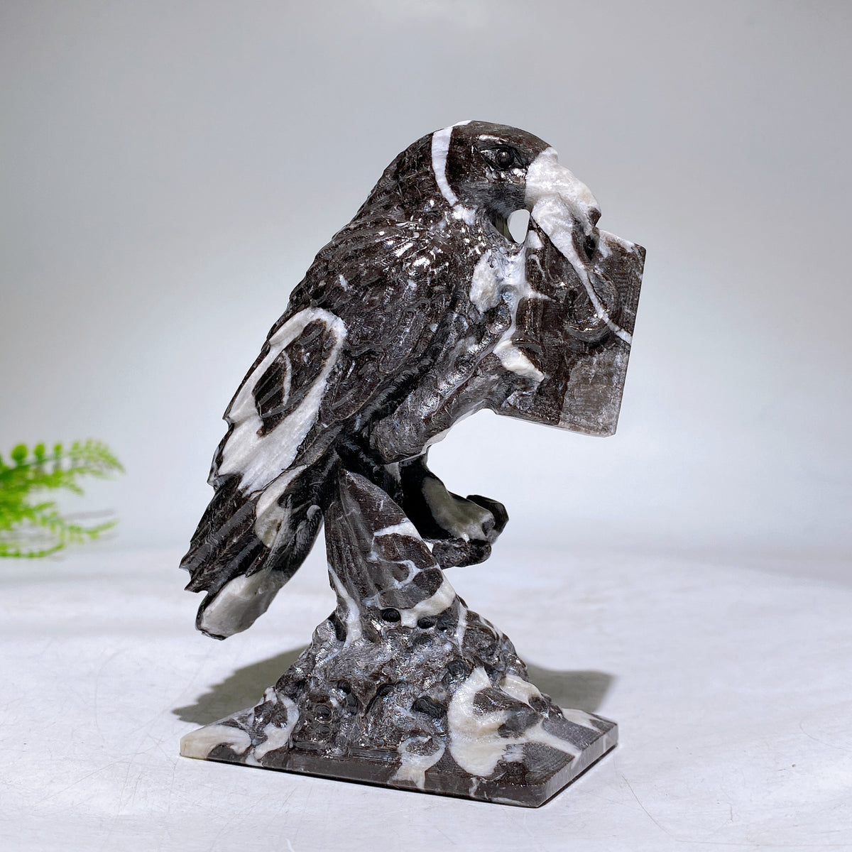 4.6" Natural Crystal Raven with Prophecy Carving Wholesale New Arrival