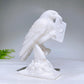 4.6" Natural Crystal Raven with Prophecy Carving Wholesale New Arrival