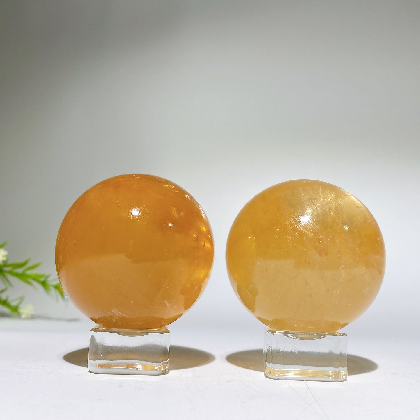 47-52mm Honey Calcite Sphere Crystal Healing Bulk Wholesale