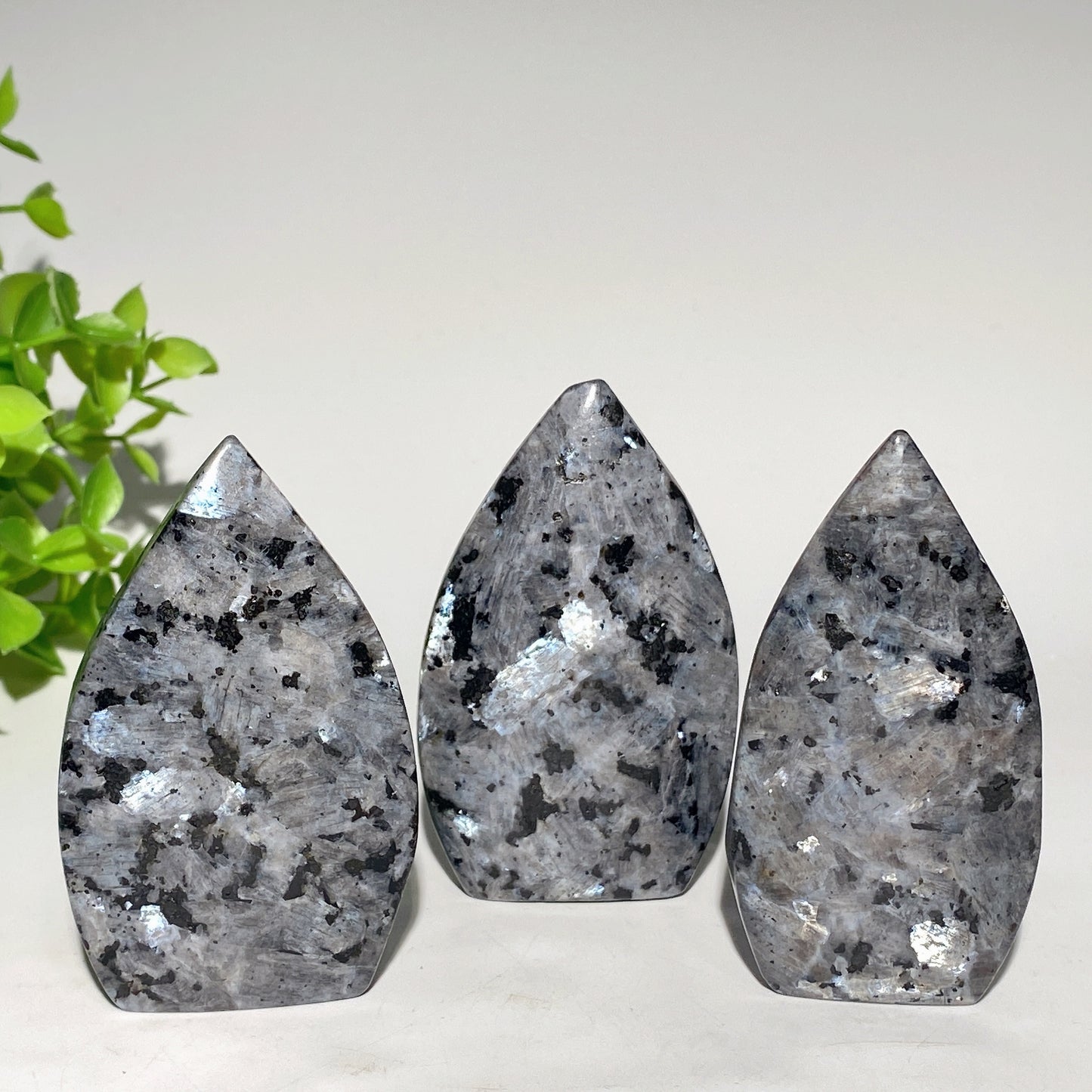 2.5"-3.5" Larvikite Free Form  Bulk Wholesale