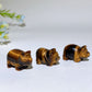 0.9" Yellow Tiger's Eye Pig Carvings Bulk Wholesale