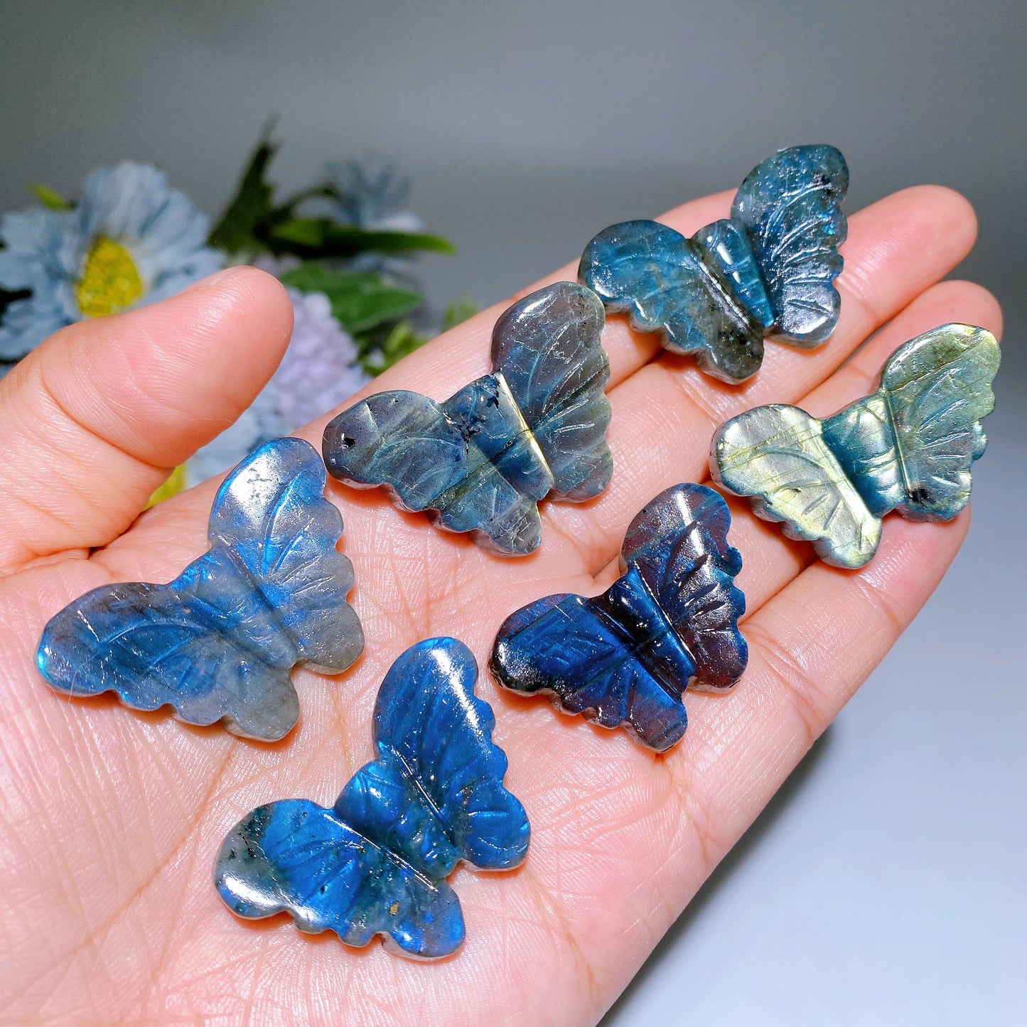 Labradorite Blue Chalcedony Butterfly Carving Crystal Healing Bulk Wholesale