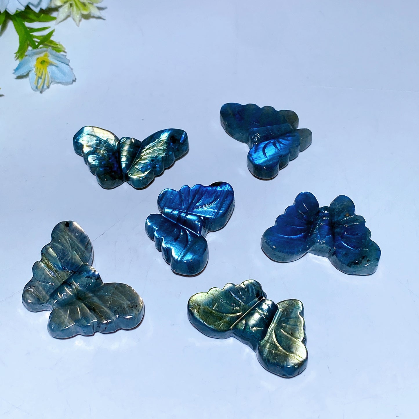 Labradorite Blue Chalcedony Butterfly Carving Crystal Healing Bulk Wholesale