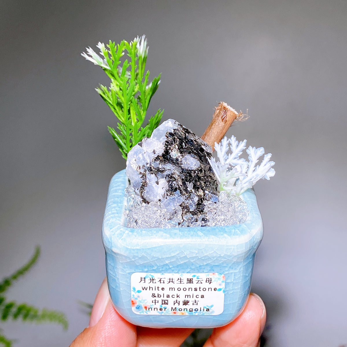 Natural Crystal Specimen Bonsai WholesaleSodalite