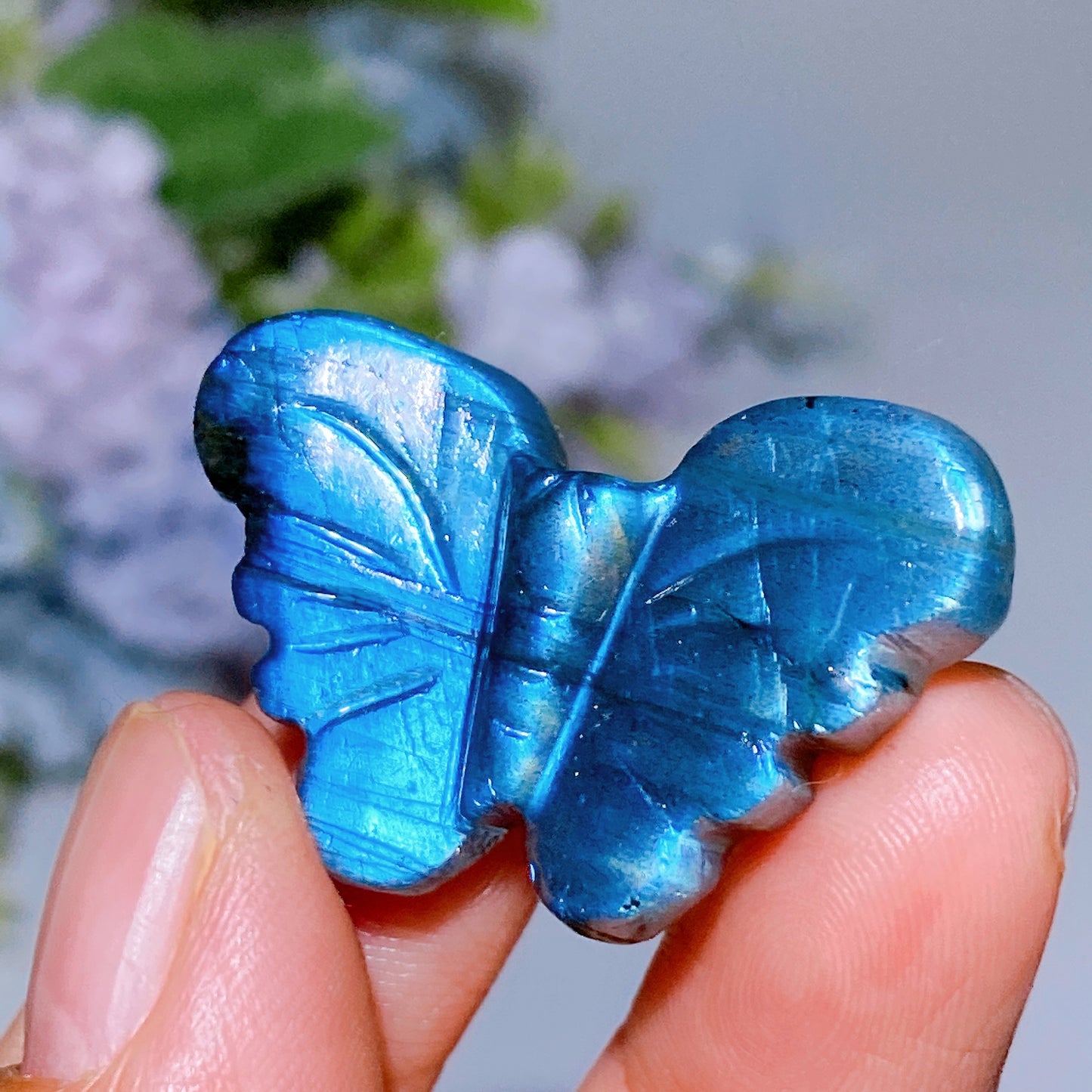 Labradorite Blue Chalcedony Butterfly Carving Crystal Healing Bulk Wholesale