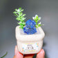 Natural Crystal Specimen Bonsai WholesaleSodalite
