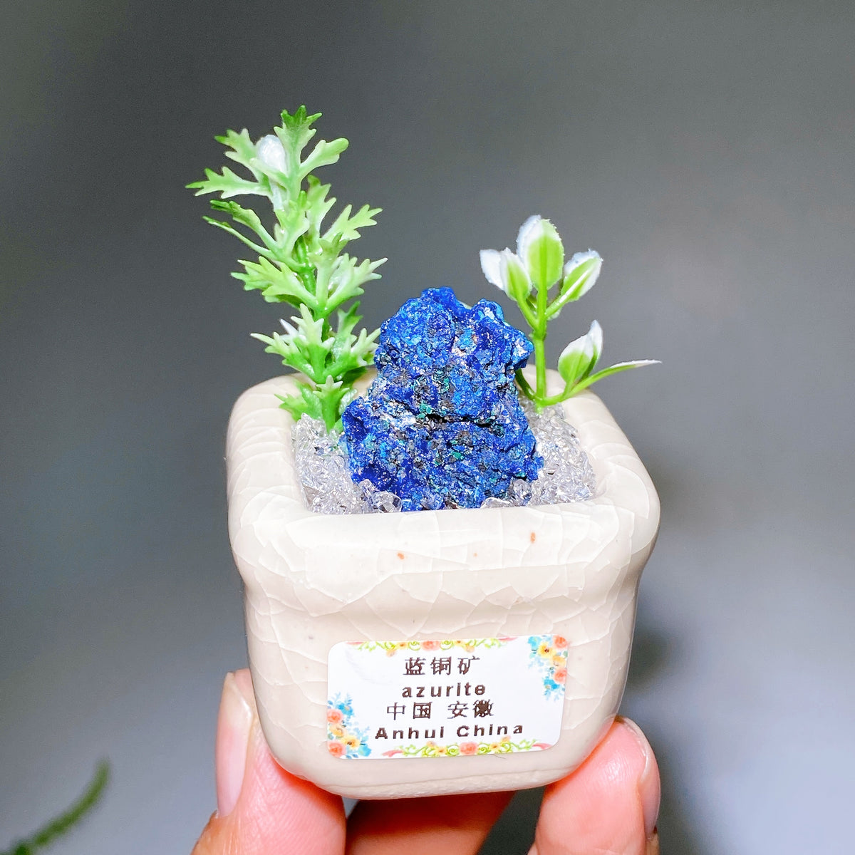 Natural Crystal Specimen Bonsai WholesaleSodalite