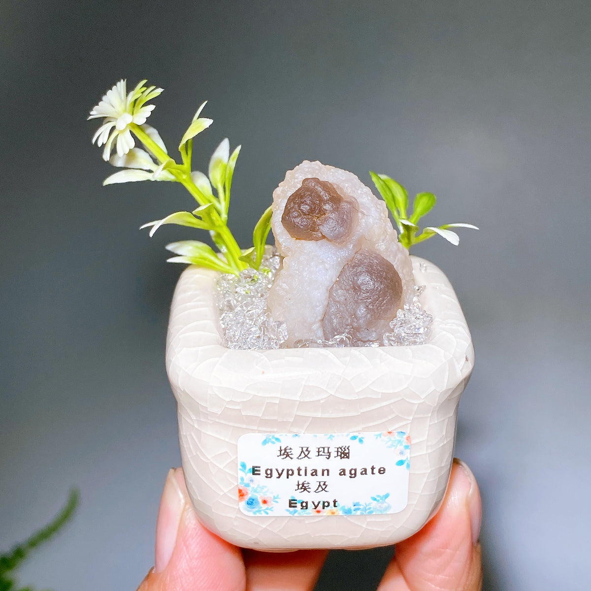 Natural Crystal Specimen Bonsai WholesaleSodalite