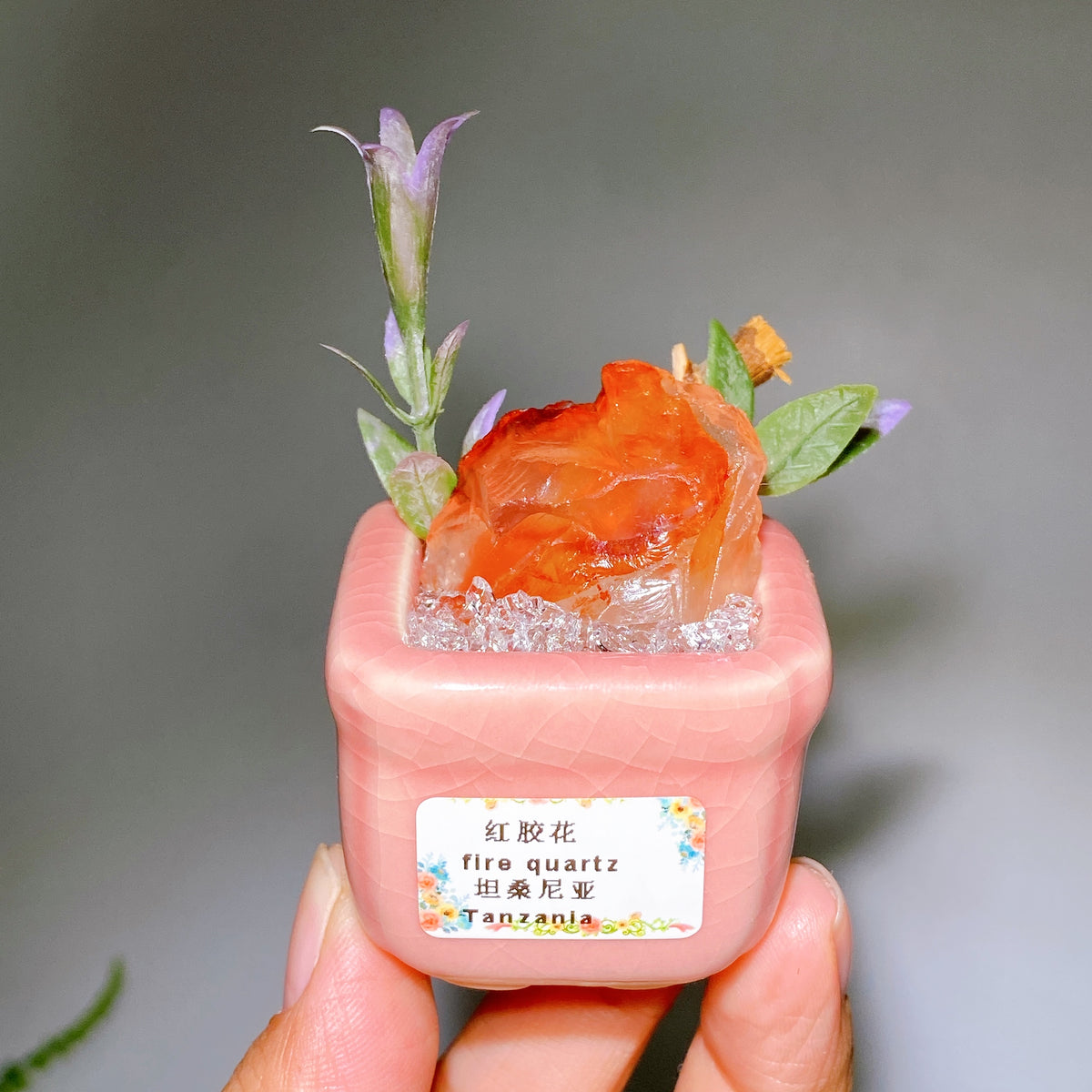 Natural Crystal Specimen Bonsai WholesaleSodalite