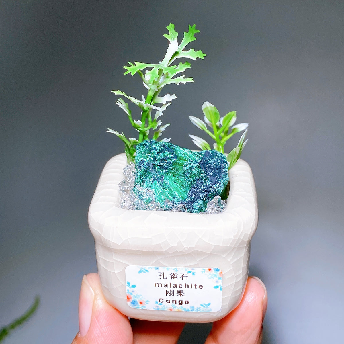 Natural Crystal Specimen Bonsai WholesaleSodalite