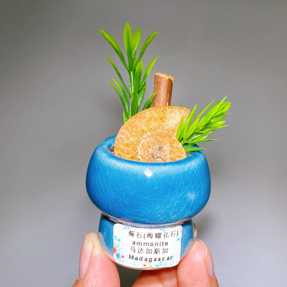 Natural Crystal Specimen Bonsai WholesaleSodalite
