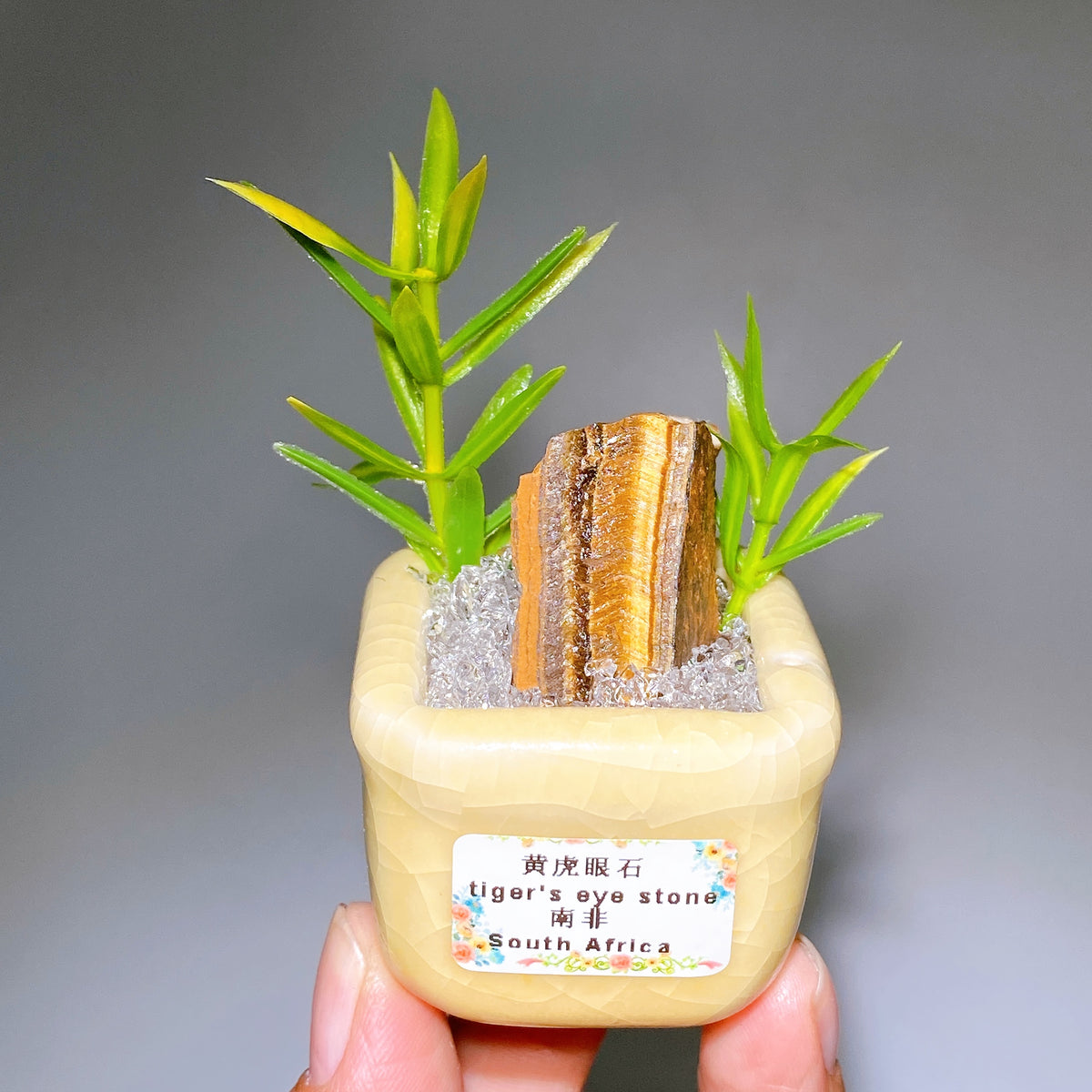 Natural Crystal Specimen Bonsai WholesaleSodalite