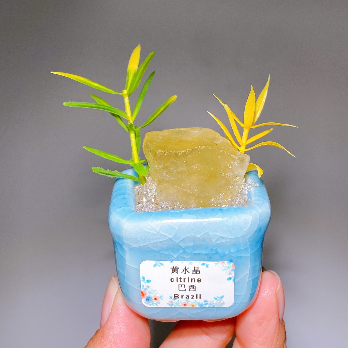 Natural Crystal Specimen Bonsai WholesaleSodalite