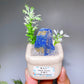 Natural Crystal Specimen Bonsai WholesaleSodalite