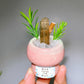 Natural Crystal Specimen Bonsai WholesaleSodalite