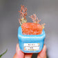 Natural Crystal Specimen Bonsai WholesaleSodalite