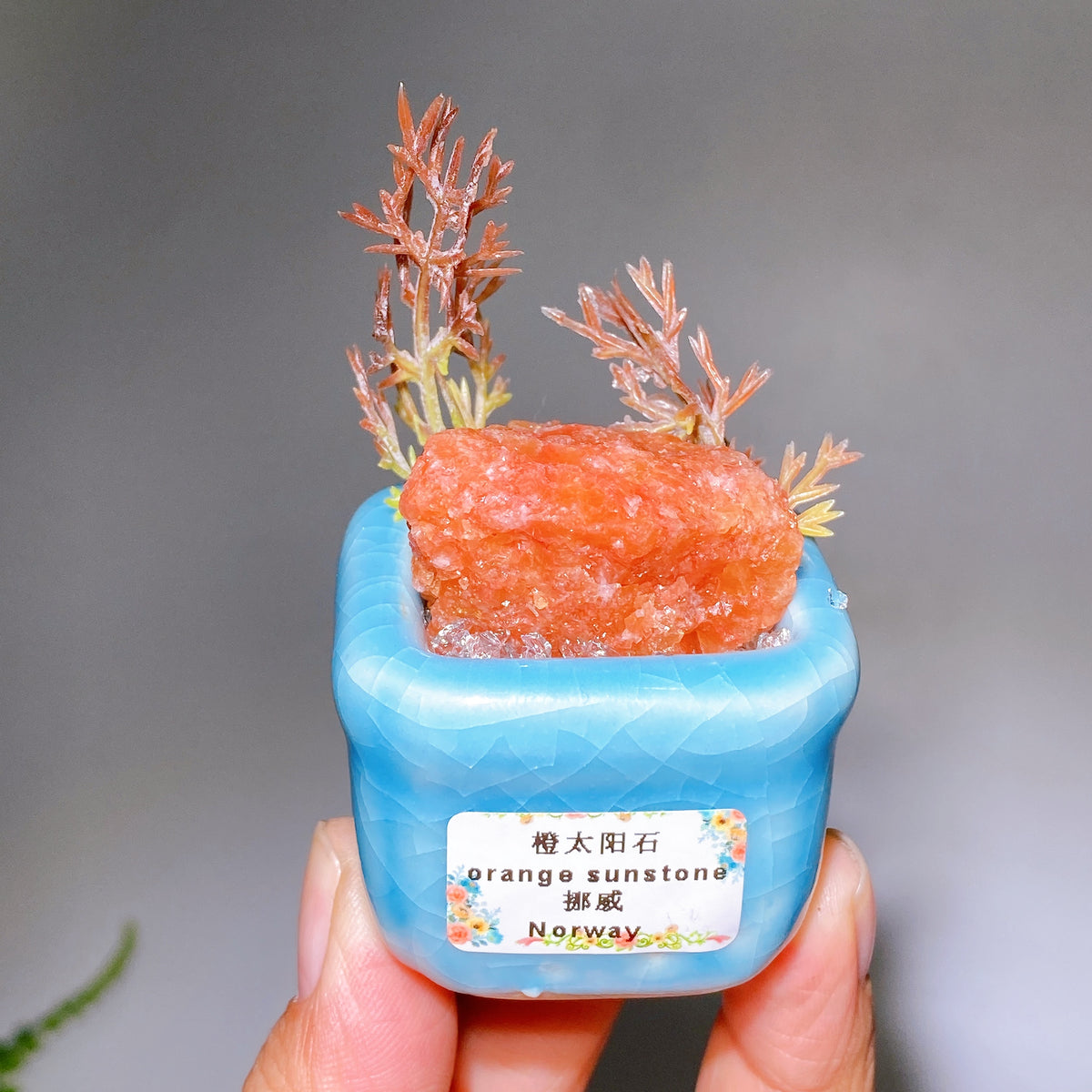 Natural Crystal Specimen Bonsai WholesaleSodalite