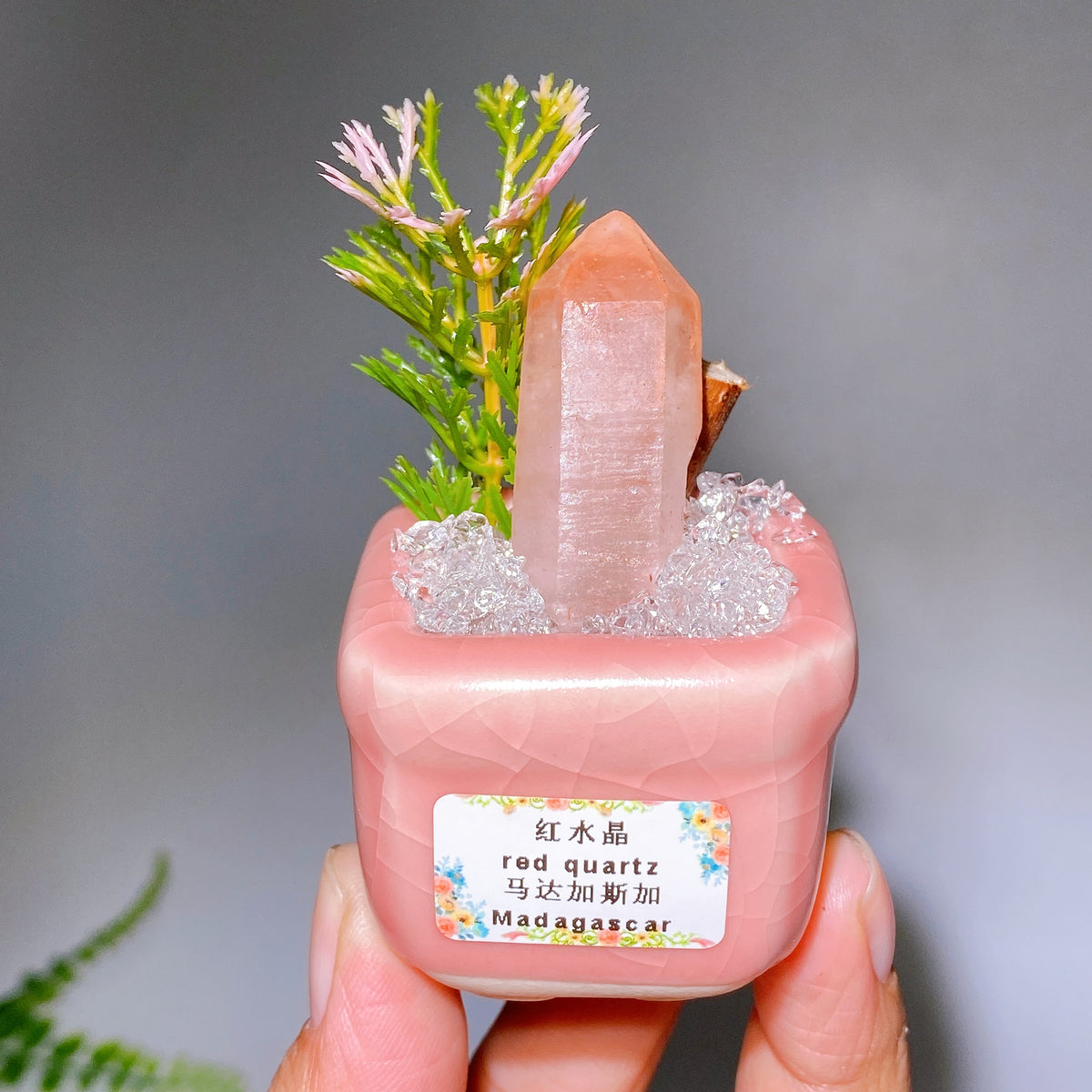 Natural Crystal Specimen Bonsai WholesaleSodalite