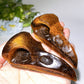 3.3" Yellow Tiger Eye Raven Skull Crystal Carvings Crystal Healing Bulk Wholesale