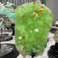 15cm Green Fluorite Grow with Barite with Stand