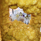 62cm Large Unique Full Clusters Citrine Geode with Three-sides Window Specimen