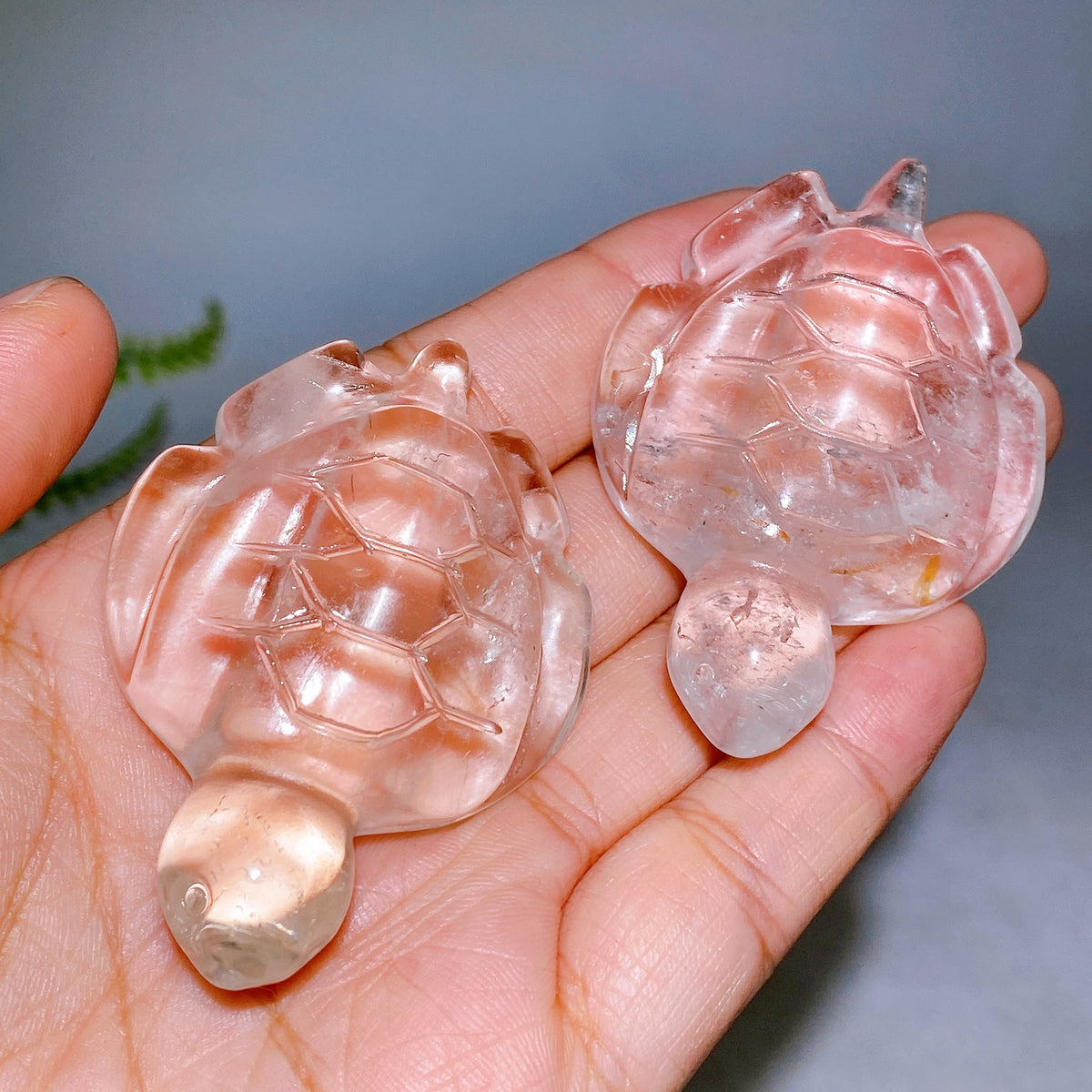 2.4" Natural Clear Quartz Turtle Carving Wholesale