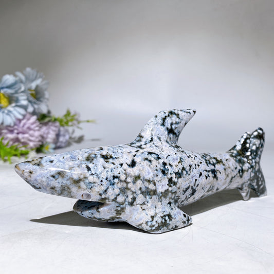 17cm Ocean Jasper Shark Carving Crystal Healing Bulk Wholesale