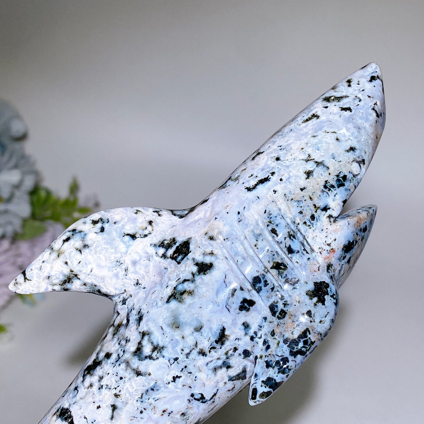 17cm Ocean Jasper Shark Carving Crystal Healing Bulk Wholesale