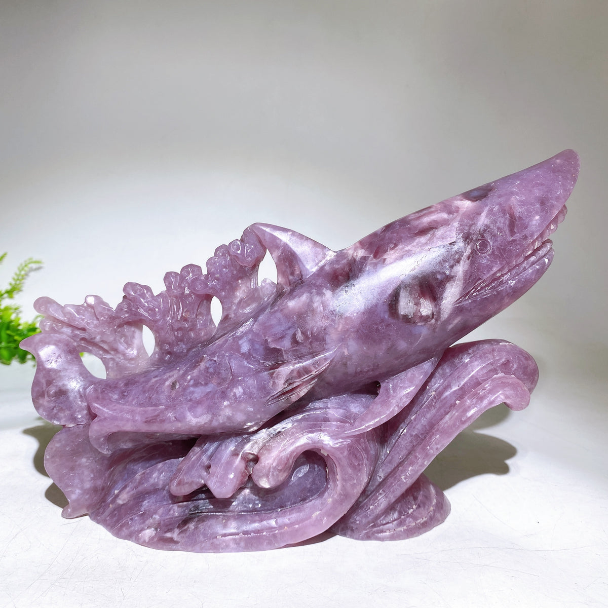 23cm Large Unique Purple Mica Shark Carving Wholesale