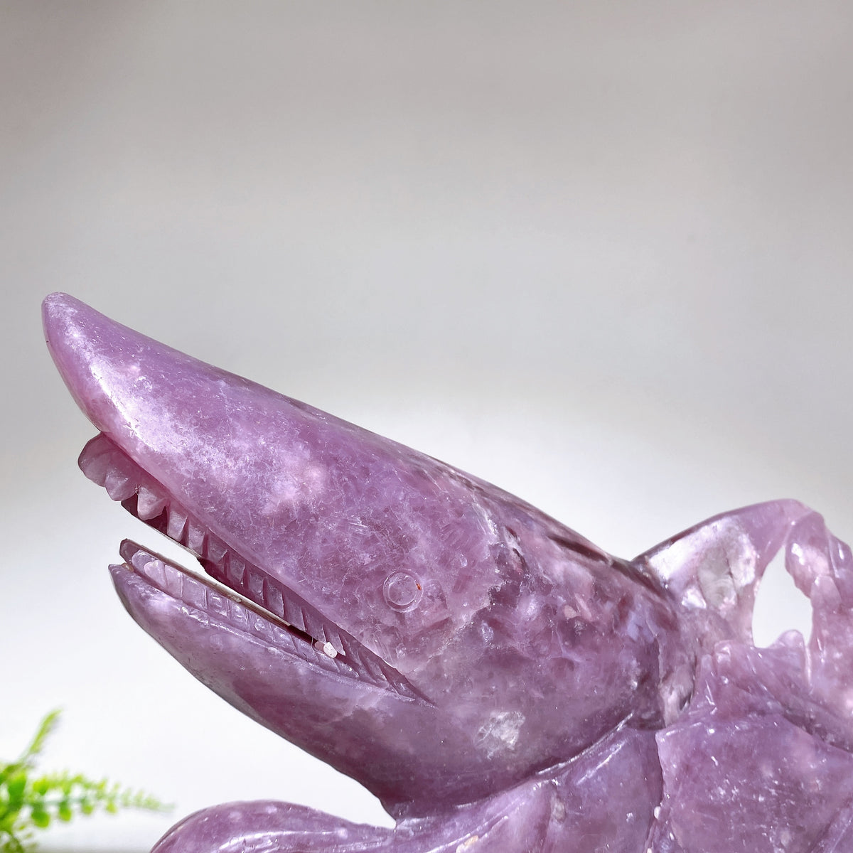 23cm Large Unique Purple Mica Shark Carving Wholesale