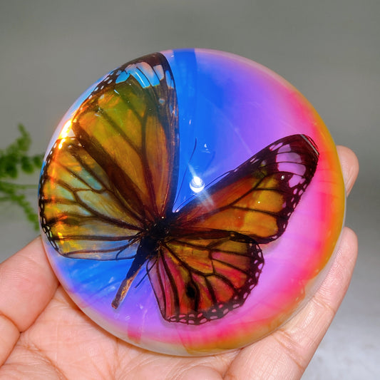 90mm Aura Half Resin Sphere with Butterfly Wholesale