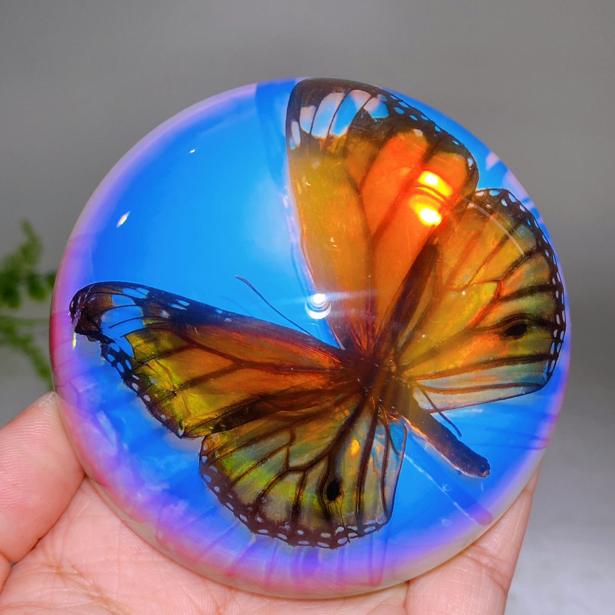 90mm Aura Half Resin Sphere with Butterfly Wholesale