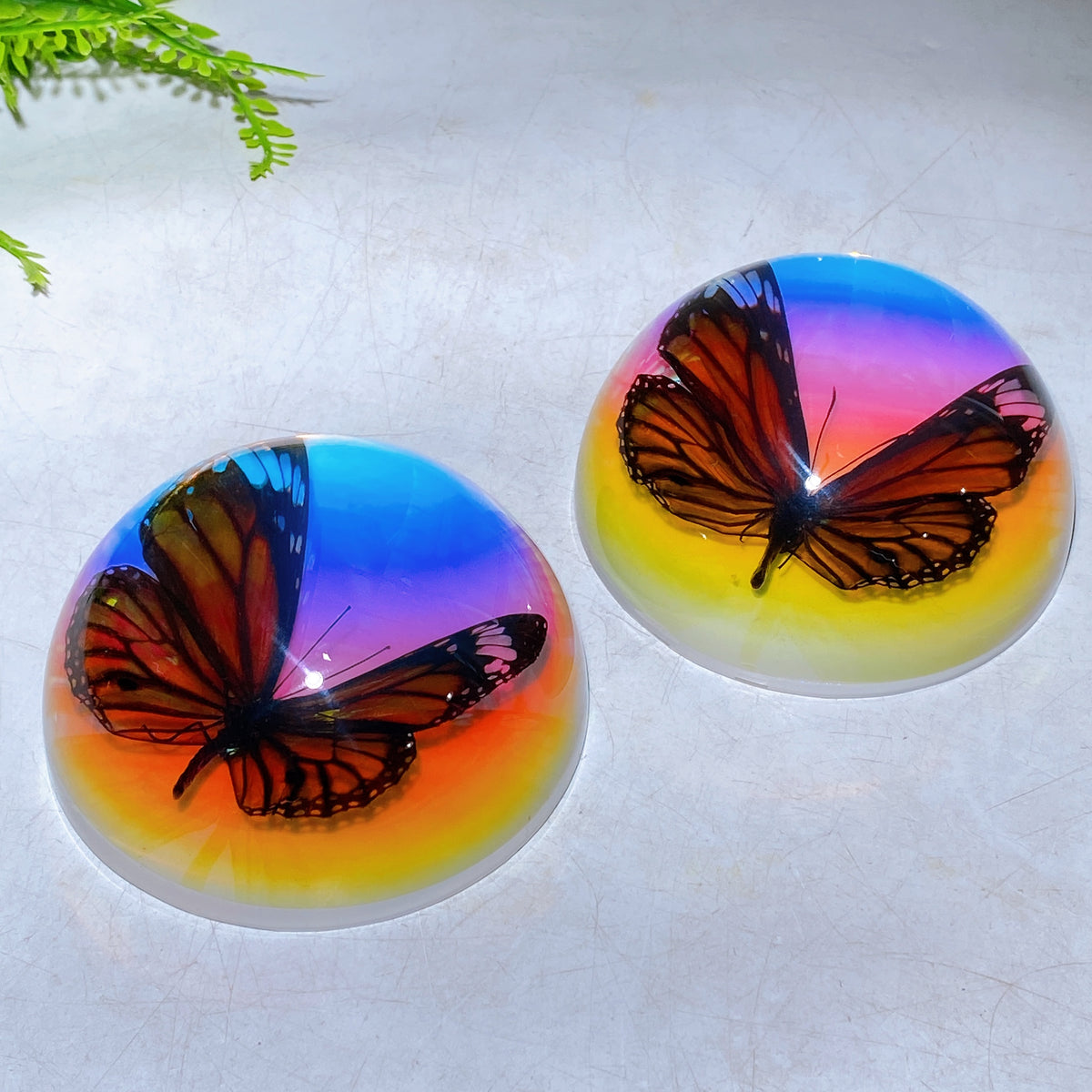 90mm Aura Half Resin Sphere with Butterfly Wholesale