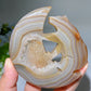 3.6" Druzy Agate Moon Bear Carving Bulk Wholesale