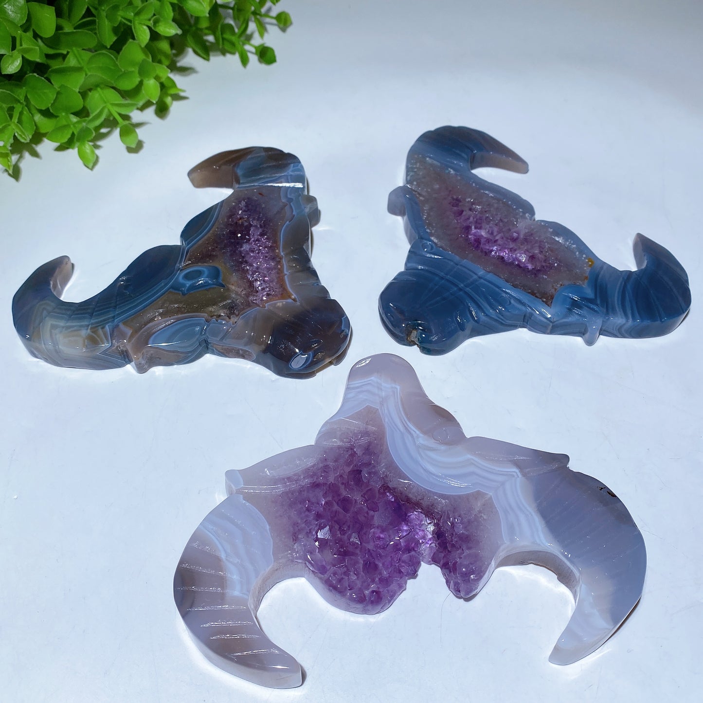 5.4" Druzy Amethyst Bull Head Crystal Carvings Bulk Wholesale