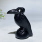 2.4" Black Obsidian Raven Carving Crystal Healing Bulk Wholesale
