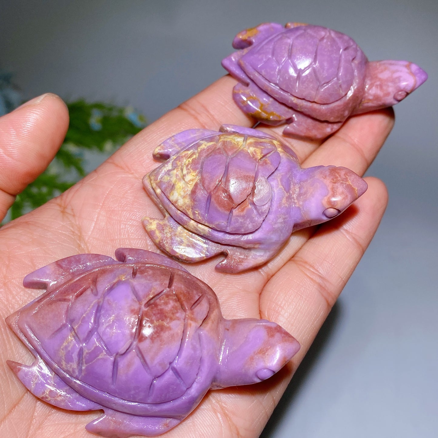 2.0"-2.4" Phosphosiderite Turtle Carving Bulk Wholesale