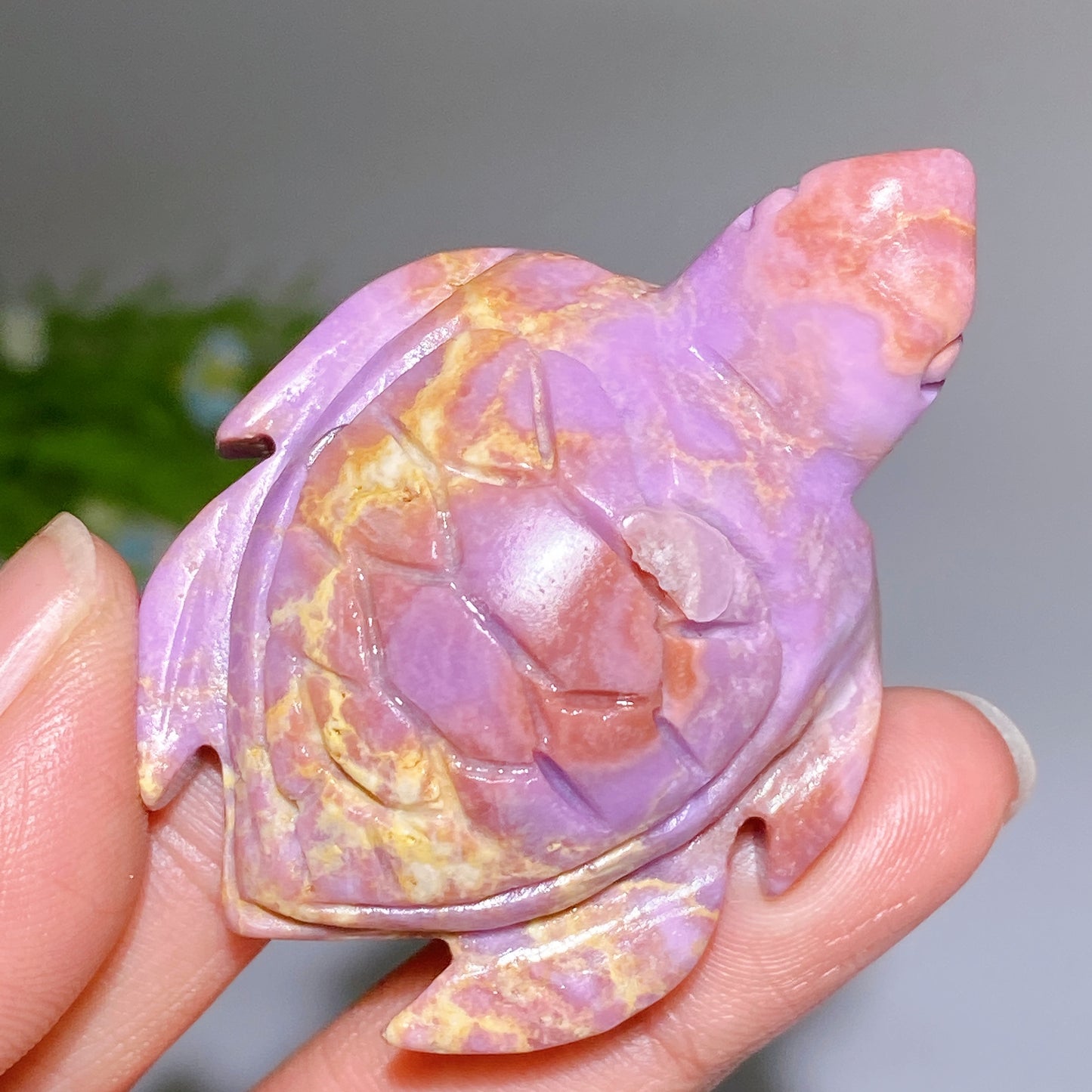 2.0"-2.4" Phosphosiderite Turtle Carving Bulk Wholesale