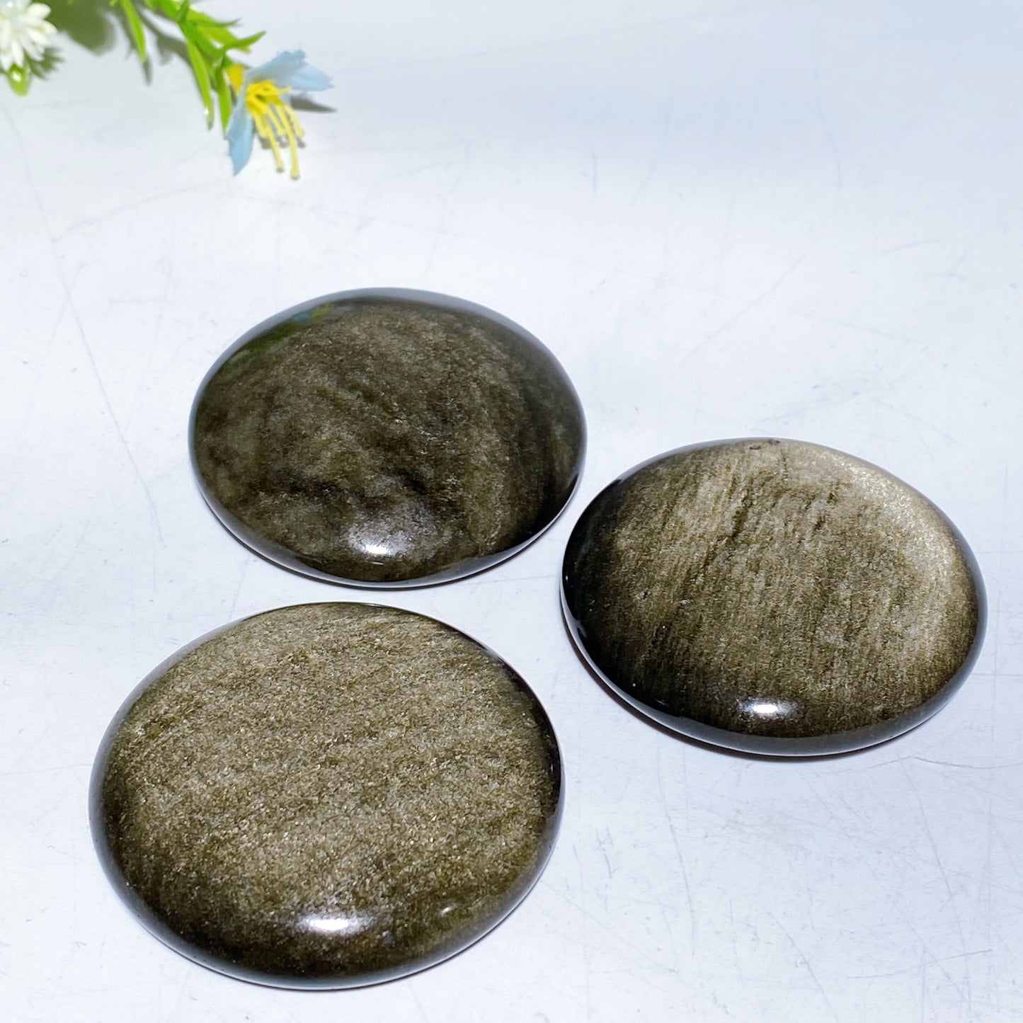 2.0" Golden Obsidian Round Palm Bulk Wholesale