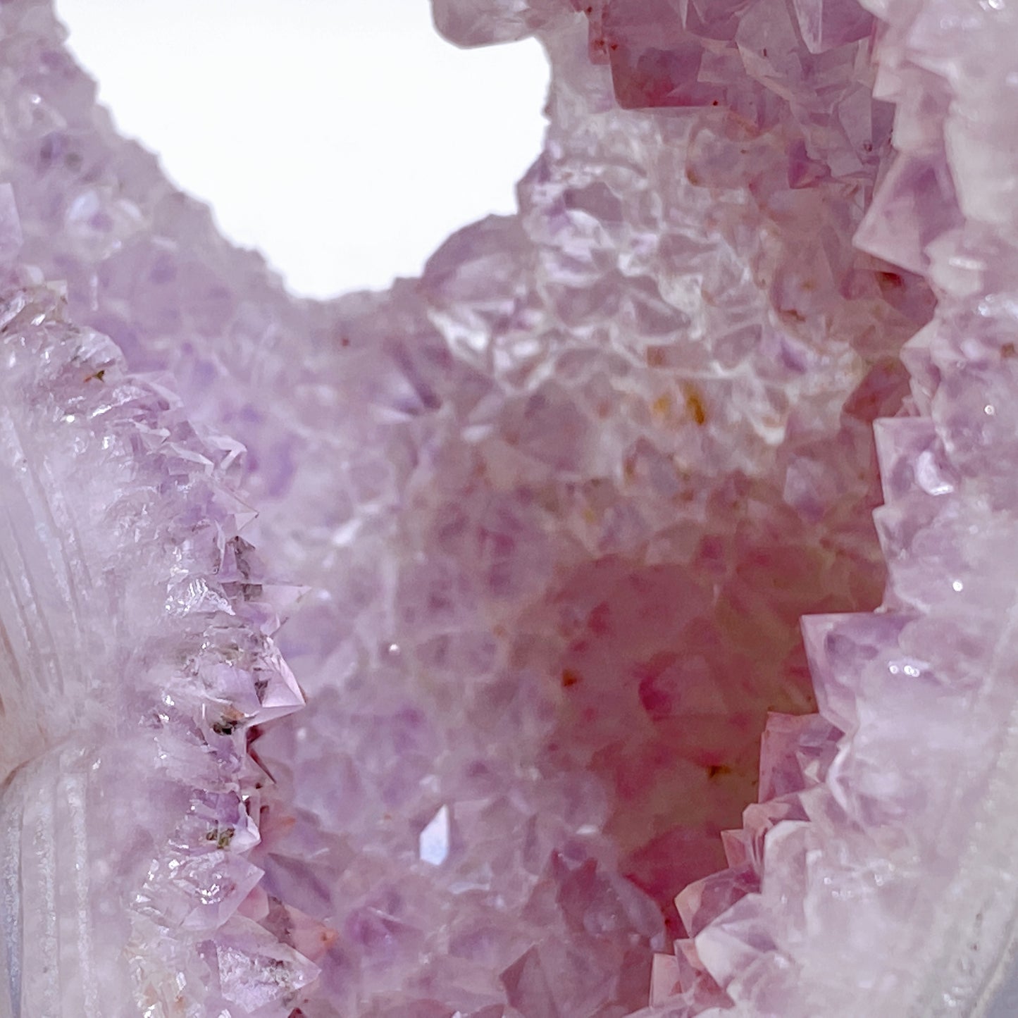 4.5" Unique Agate Growing with Amethyst Cluster Fox Carving Crystal Healing Bulk Wholesale