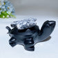 4.6" Chrysanthemum Turtle Carving Bulk Wholesale