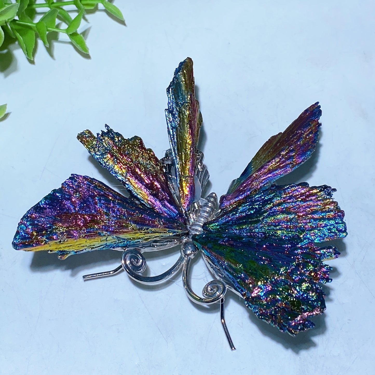 3.5"-4.0" Aura Black Tourmaline Butterfly Free Form Crystal Healing Bulk Wholesale