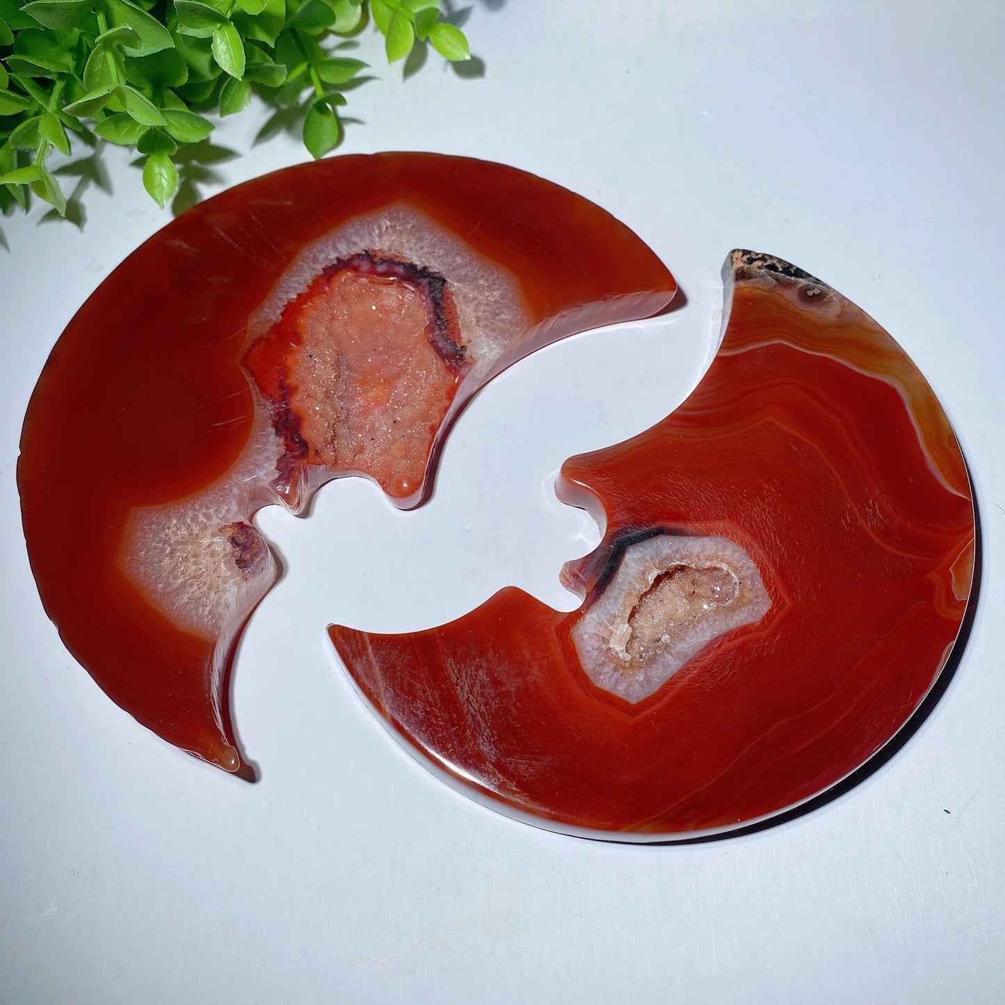 5.0" Druzy Carnelian Moon Carving with Stand Bulk Wholesale