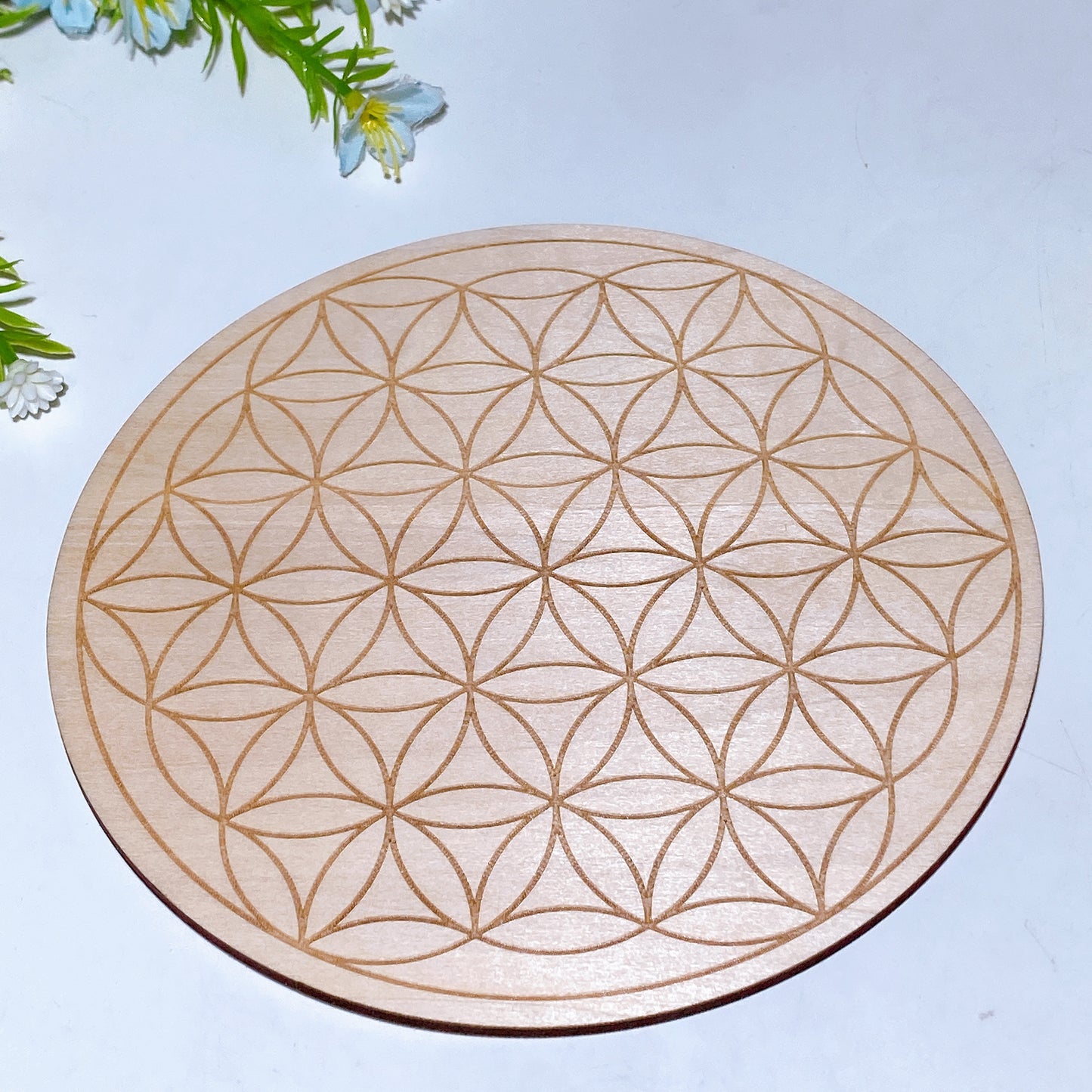 Wooden Pendulum  Divination Plate Crystal Healing Bulk Wholesale