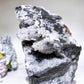 18cm Large Unique Sphelarite Grow with UV Reactive Calcite Skull Carving Crystal Healing Bulk Wholesale