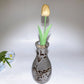 19cm Picture Jasper Vase Crystal Healing Carving Bulk Wholesale