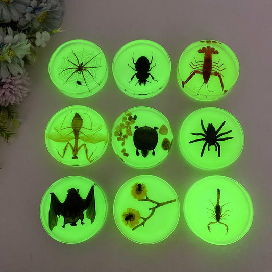8.5cm Luminous Round Slab with Insect Crystal Healing Bulk Wholesale