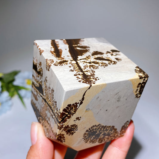 2.3" Picture Jasper Cube Crystal Healing Carving Bulk Wholesale