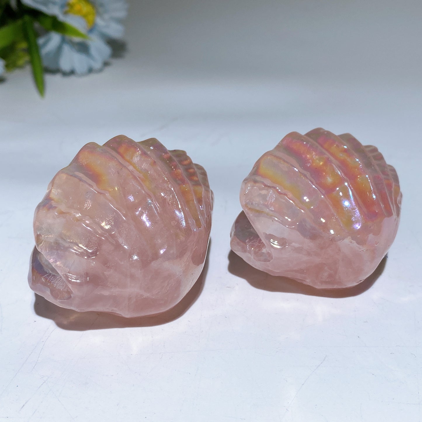 2.2" Aura Rose Quartz Shell Carving Crystal Healing Bulk Wholesale