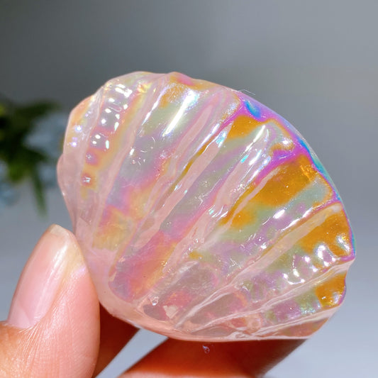 2.2" Aura Rose Quartz Shell Carving Crystal Healing Bulk Wholesale